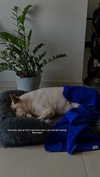 maria_vaisburd Altpins Profile Picture