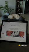 maria_vaisburd Altpins Profile Picture