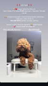 maria_vaisburd Altpins Profile Picture