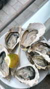 marinush_l Altpins Profile Picture