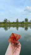 marionabarnils Altpins Profile Picture