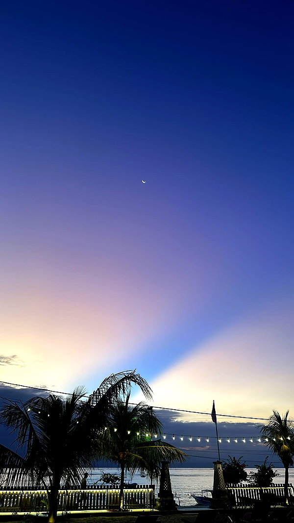 marionabarnils instagram image archive image