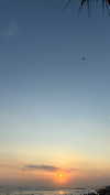 marionabarnils Altpins Profile Picture
