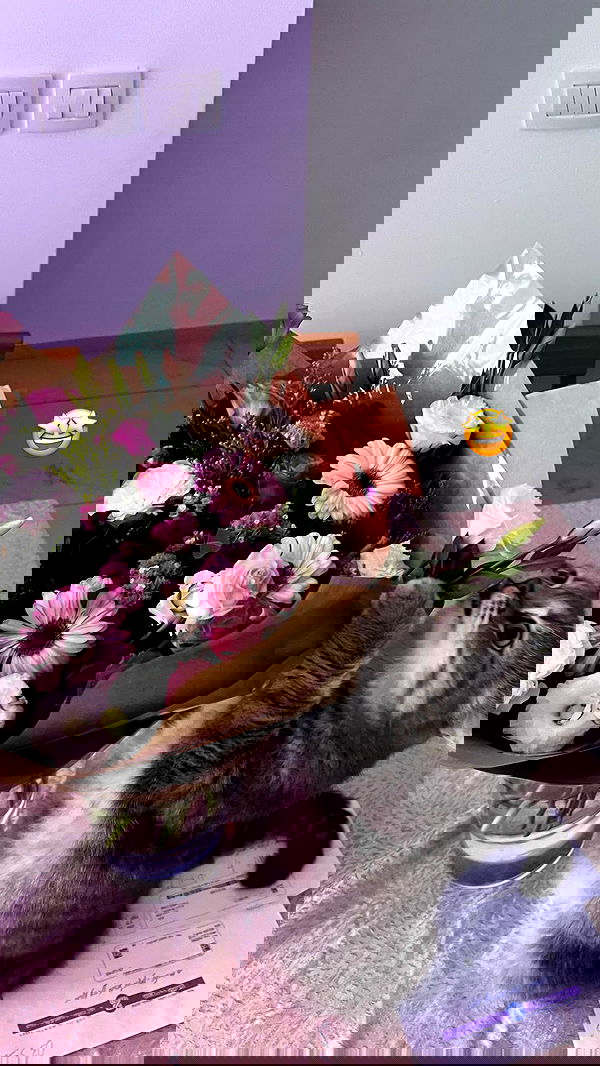 marsonargo marsonargo archive image