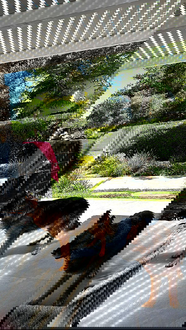 marsonargo marsonargo archive image