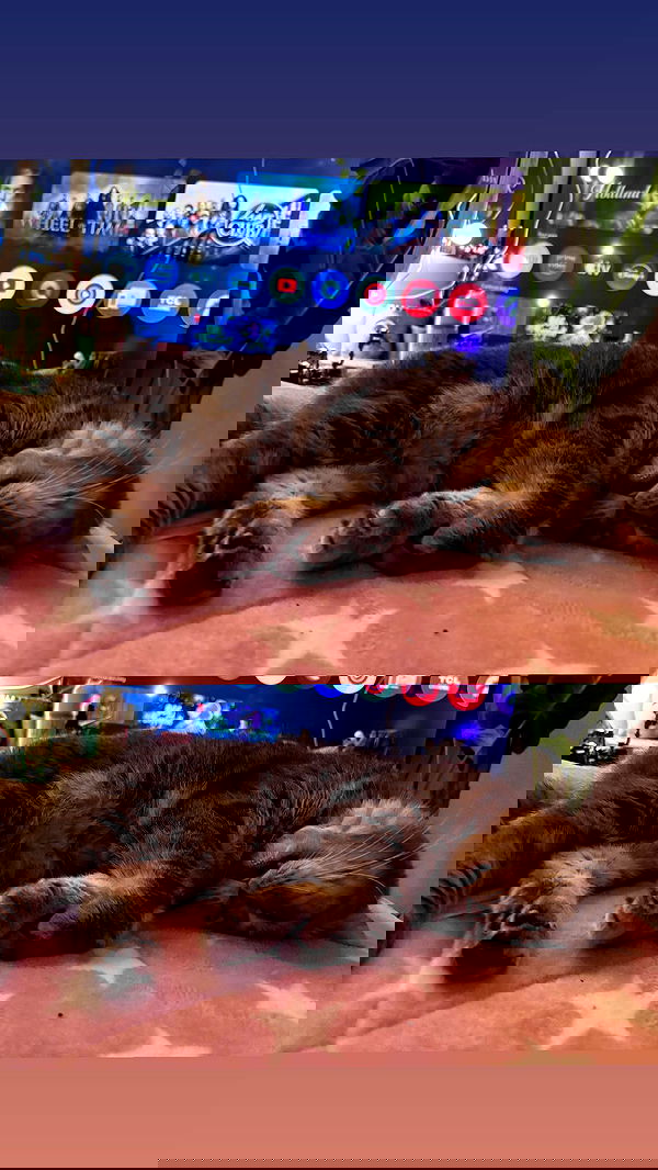 marsonargo marsonargo archive image