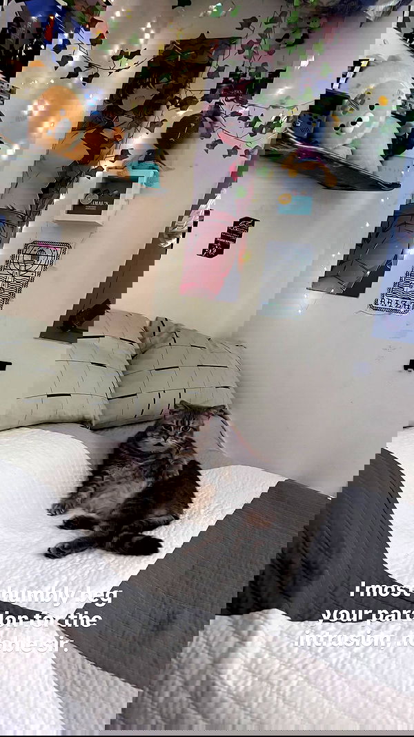 marsonargo marsonargo archive image