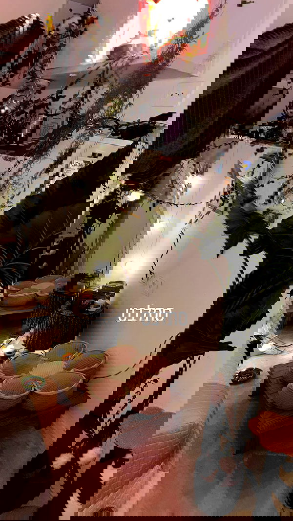 marsonargo marsonargo archive image