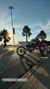 martinadoglioli Altpins Profile Picture