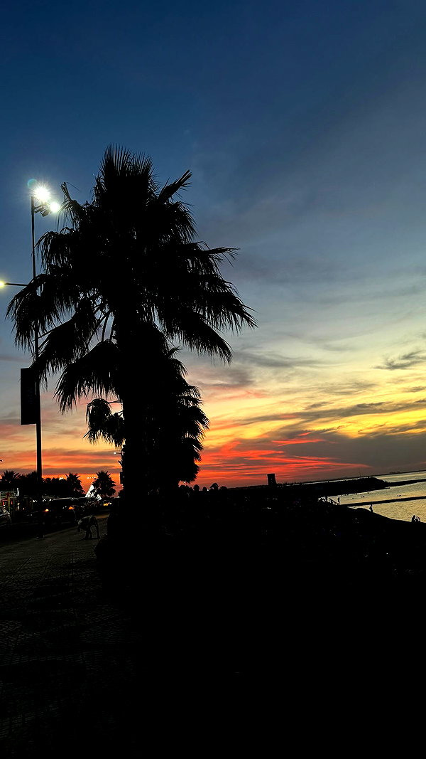 martinadoglioli instagram image archive image