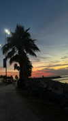 martinadoglioli Altpins Profile Picture