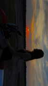 martinadoglioli Altpins Profile Picture