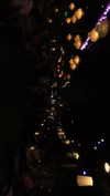 may.kaminski Altpins Profile Picture