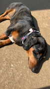 may.kaminski Altpins Profile Picture