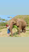 may.kaminski Altpins Profile Picture