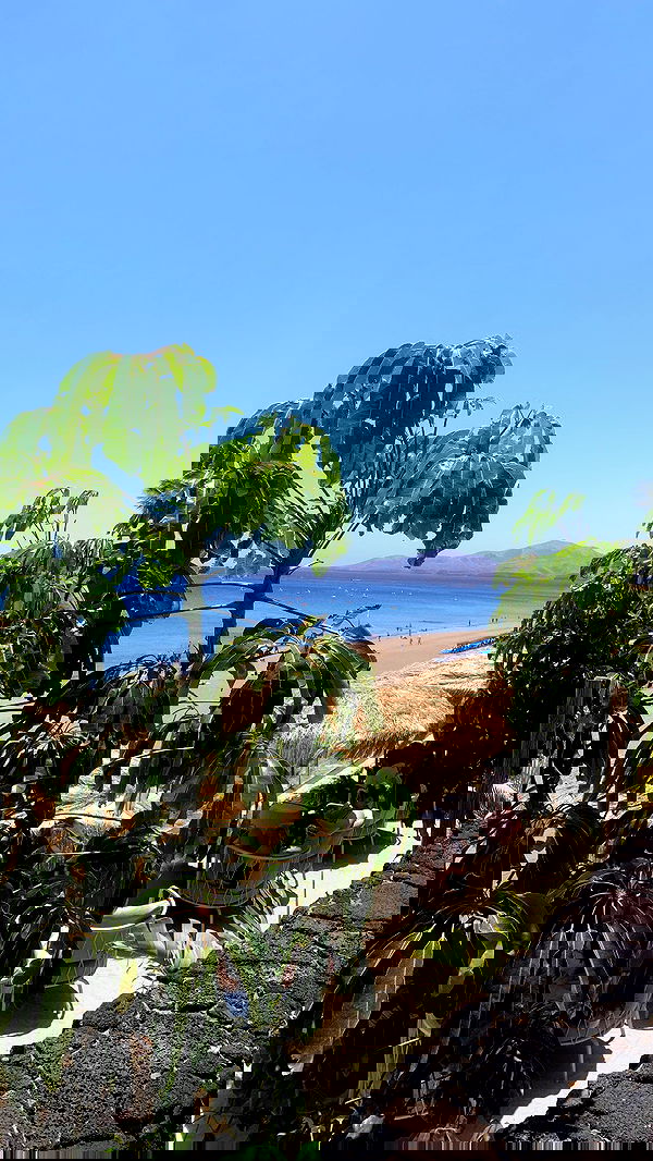 mayamorgannnnnn mayamorgannnnnn archive image