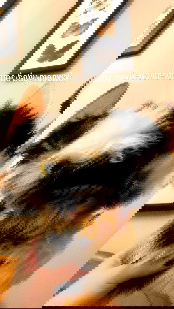 mayamorgannnnnn mayamorgannnnnn archive image