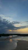 mayan.cohen Altpins Profile Picture
