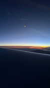 mayan.cohen Altpins Profile Picture