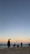 mayan.cohen Altpins Profile Picture
