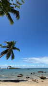 mayan.cohen Altpins Profile Picture