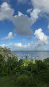 mayan.cohen Altpins Profile Picture