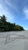 mayan.cohen Altpins Profile Picture