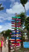 mayan.cohen Altpins Profile Picture