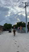 mayan.cohen Altpins Profile Picture