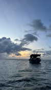 mayan.cohen Altpins Profile Picture