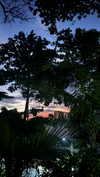 mayan.cohen Altpins Profile Picture
