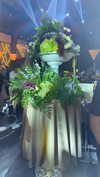 mayedri1 Altpins Profile Picture