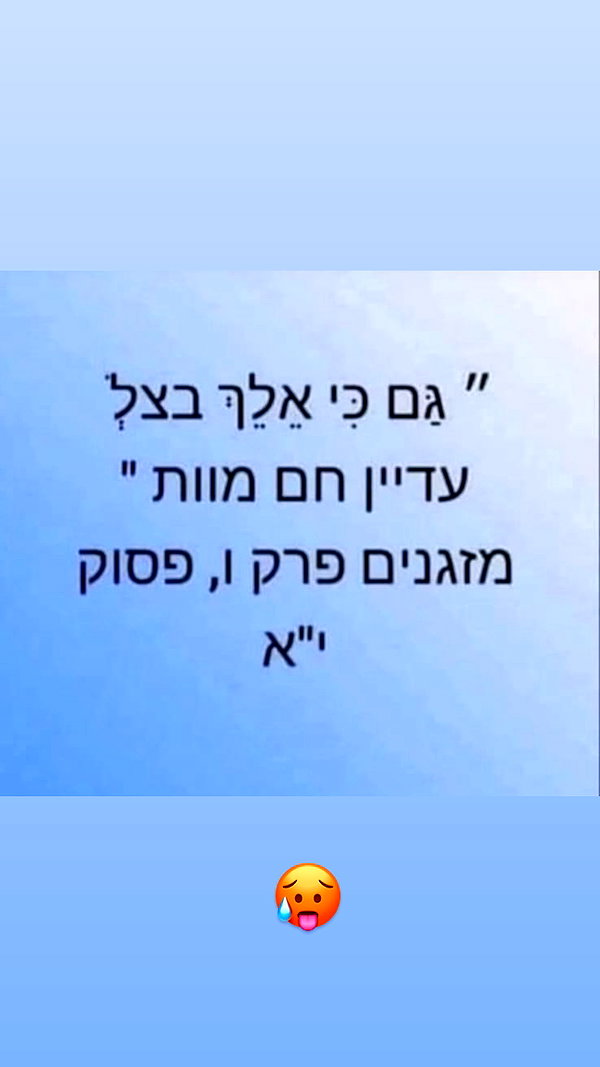 mayedri1 instagram image archive image