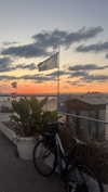 mayedri1 Altpins Profile Picture