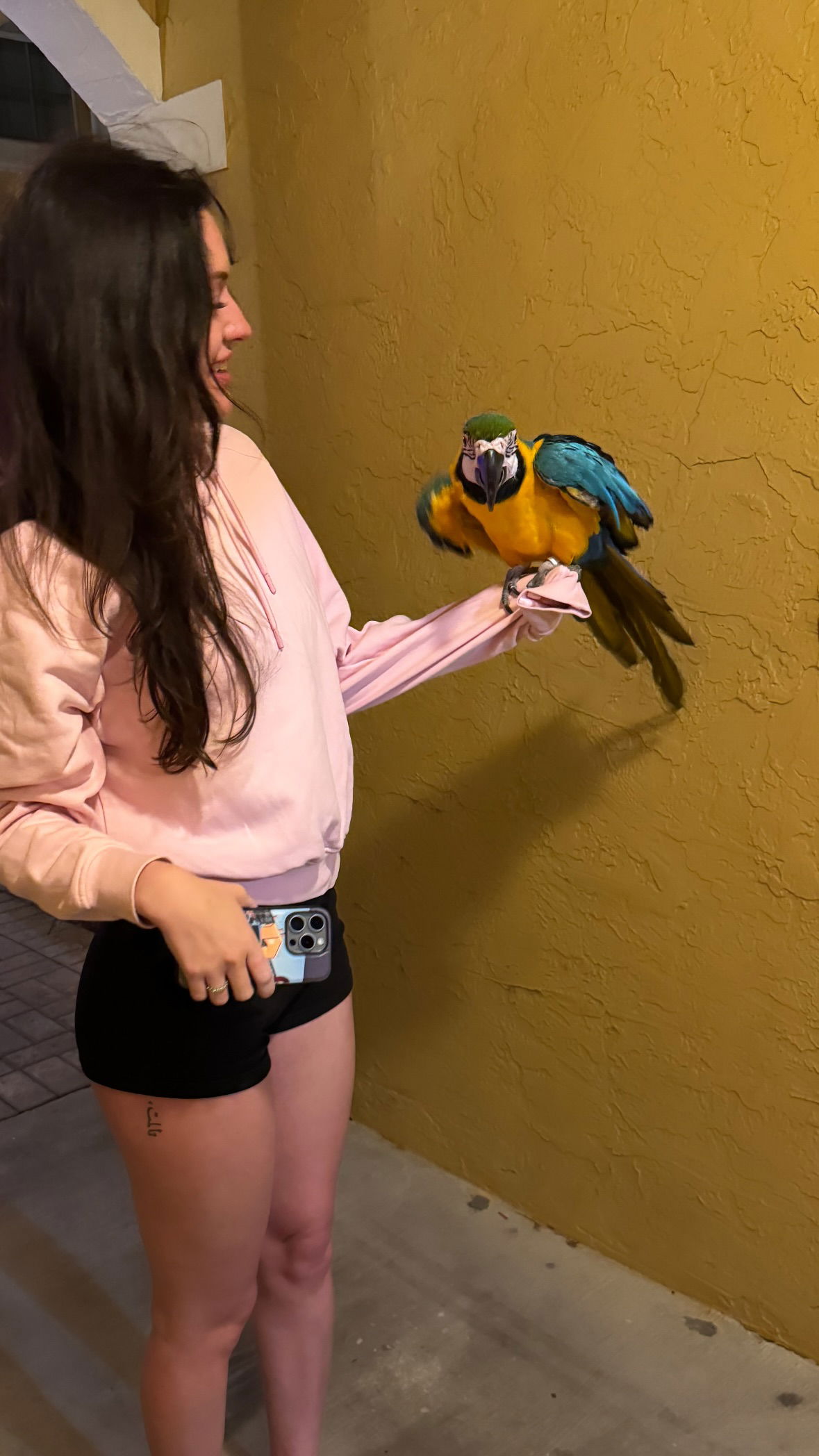 meikeae instagram image archive image