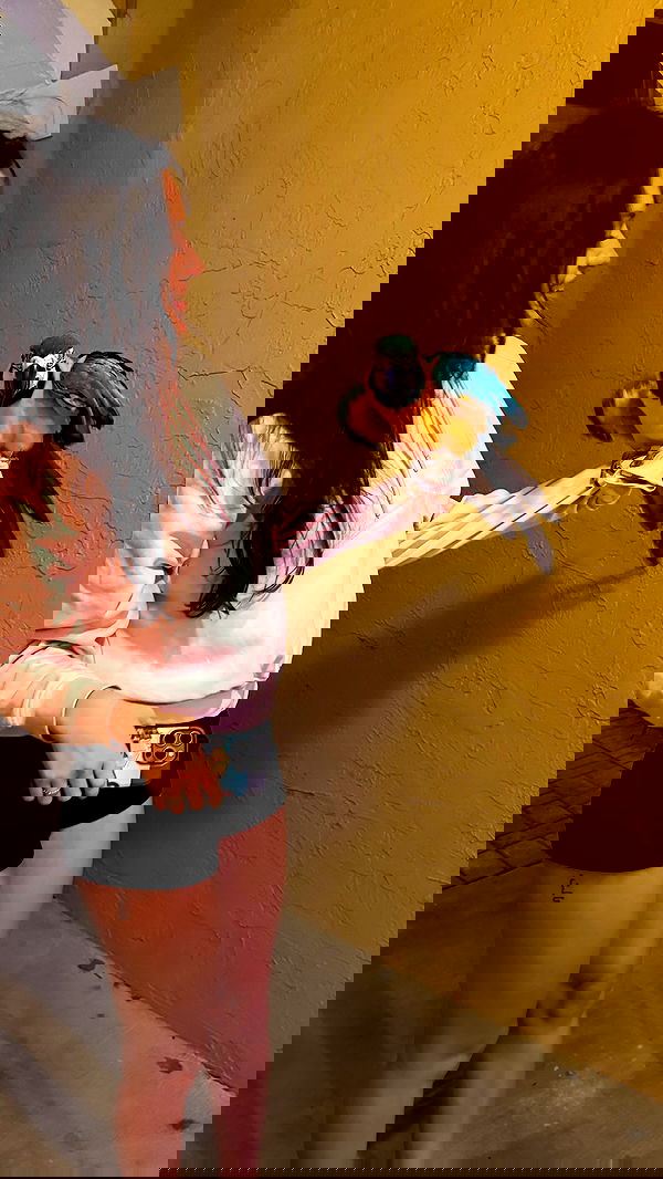 meikeae image ~ Altpins