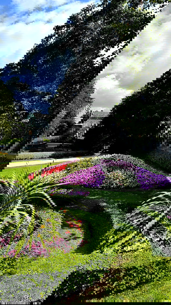 meikeae image ~ Altpins