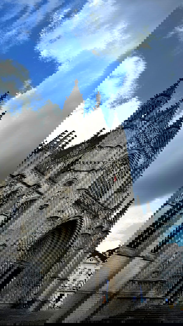 meikeae image ~ Altpins