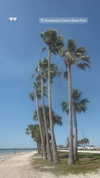 mel_cerillo Altpins Profile Picture