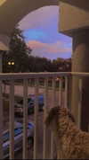 mel_cerillo Altpins Profile Picture