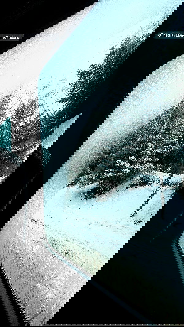 melbruno image ~ Altpins