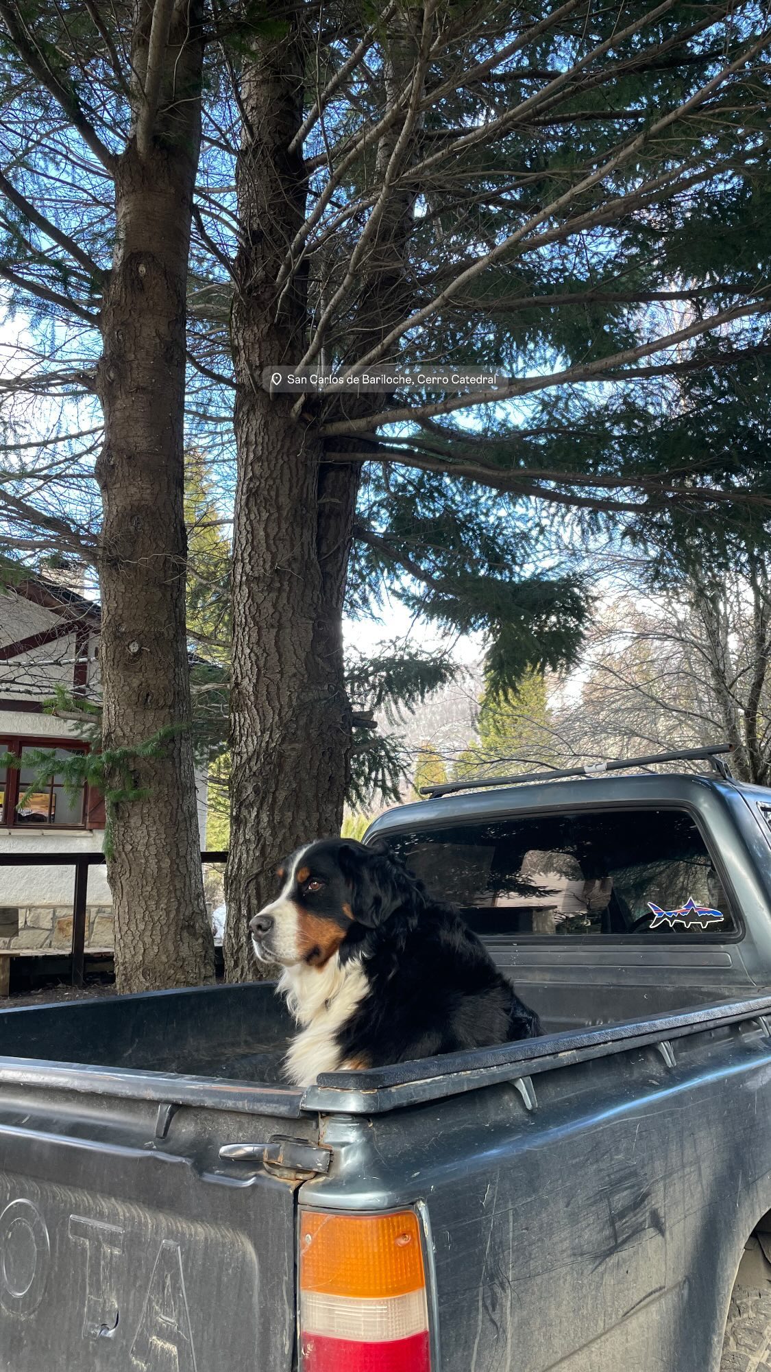 melbruno instagram image archive image