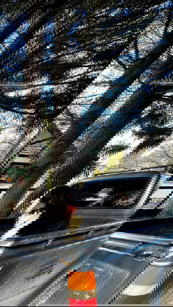 melbruno image ~ Altpins