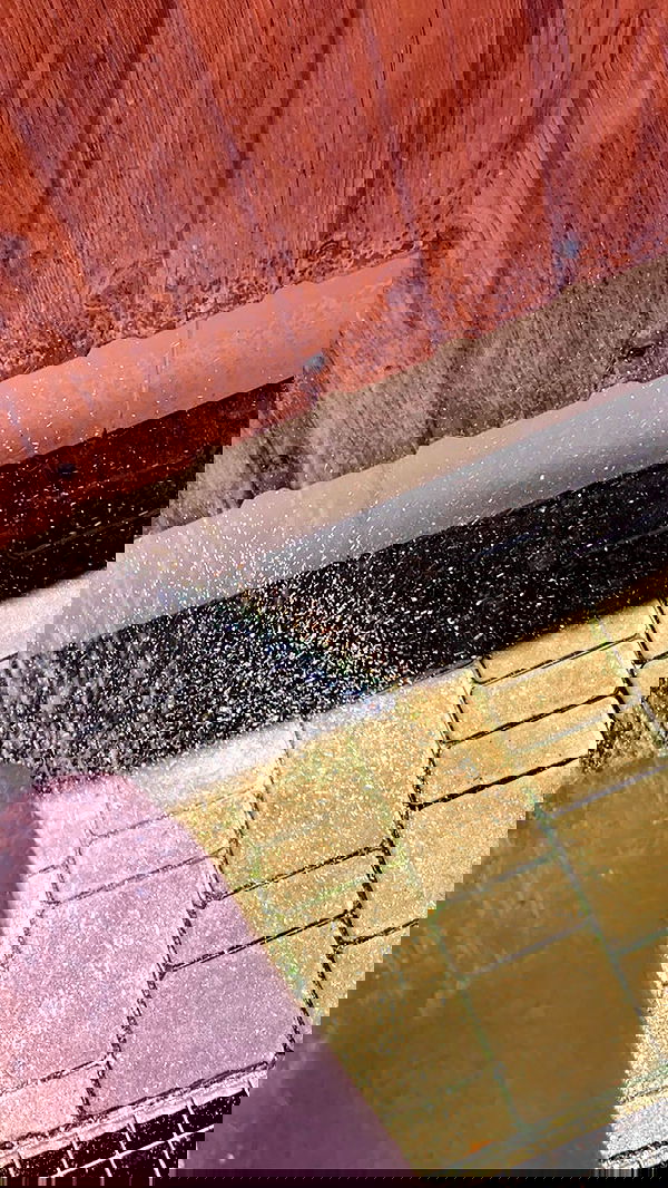 meleeva meleeva archive image