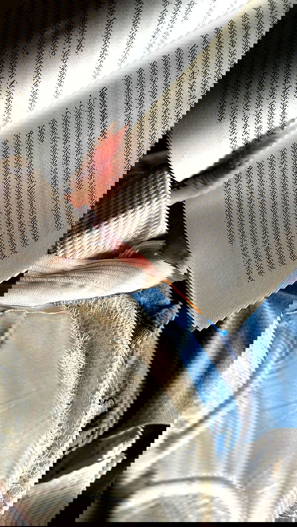 meleeva meleeva archive image