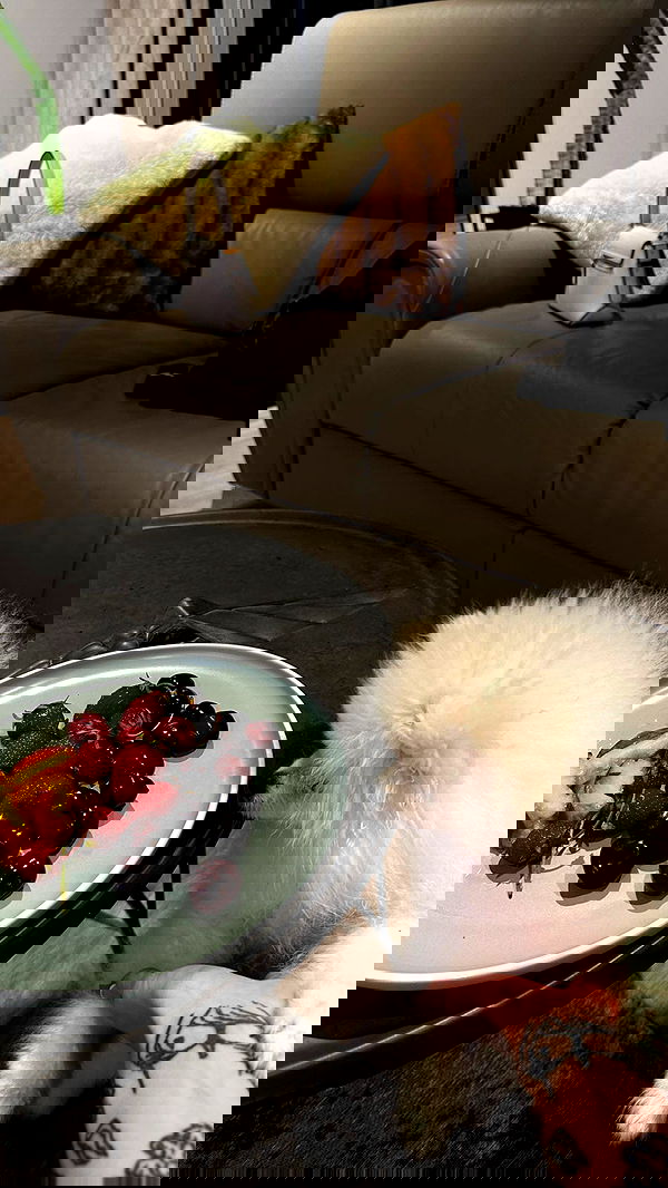 meleeva meleeva archive image