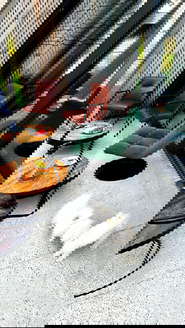 meleeva meleeva archive image