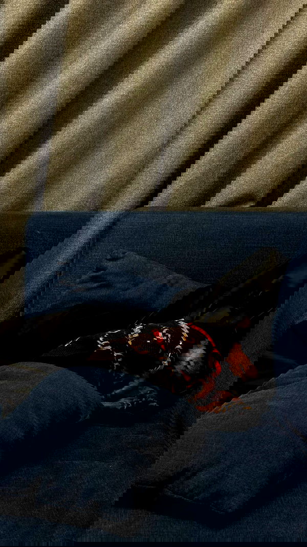 meleeva meleeva archive image