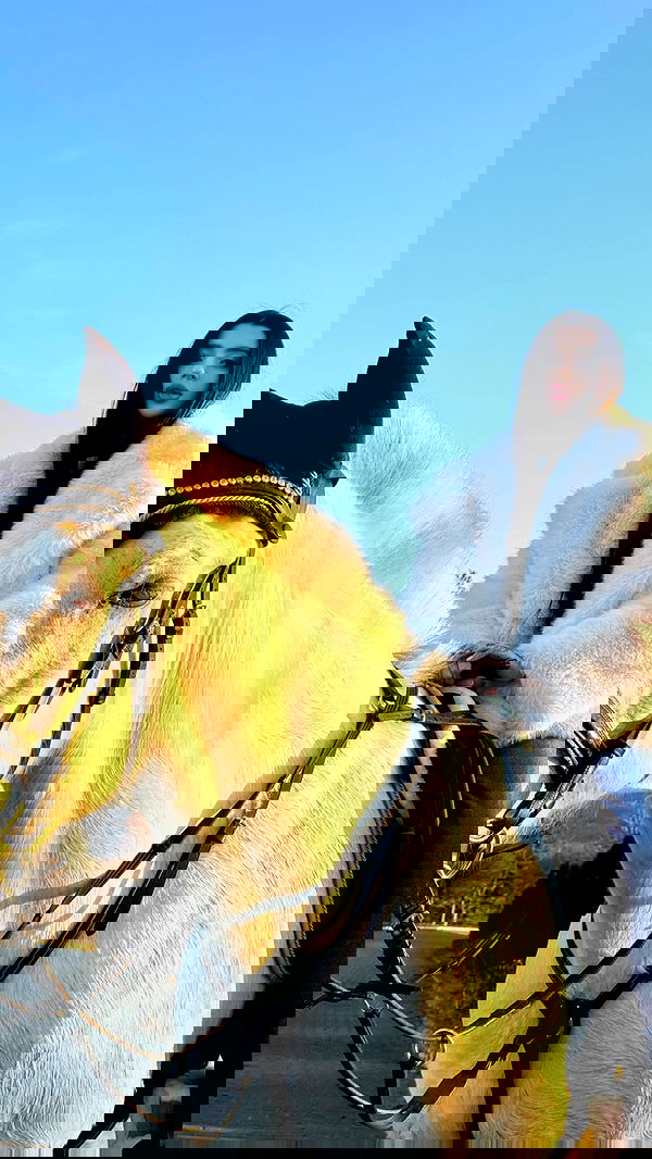 meleeva meleeva archive image