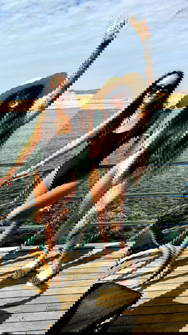 meleeva meleeva archive image